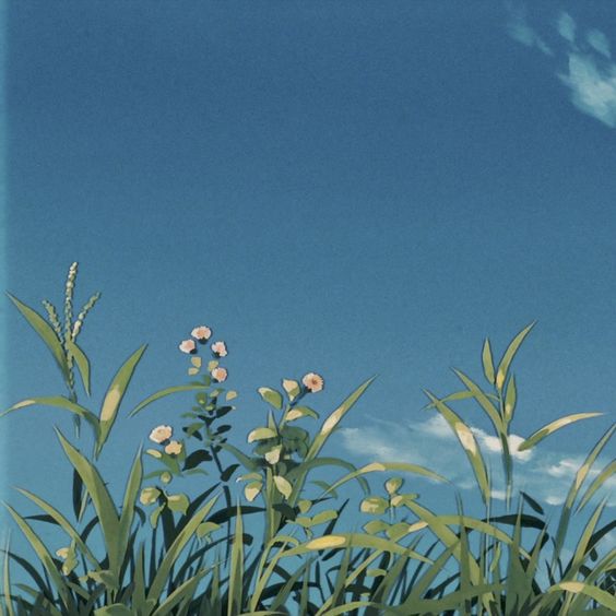sky
