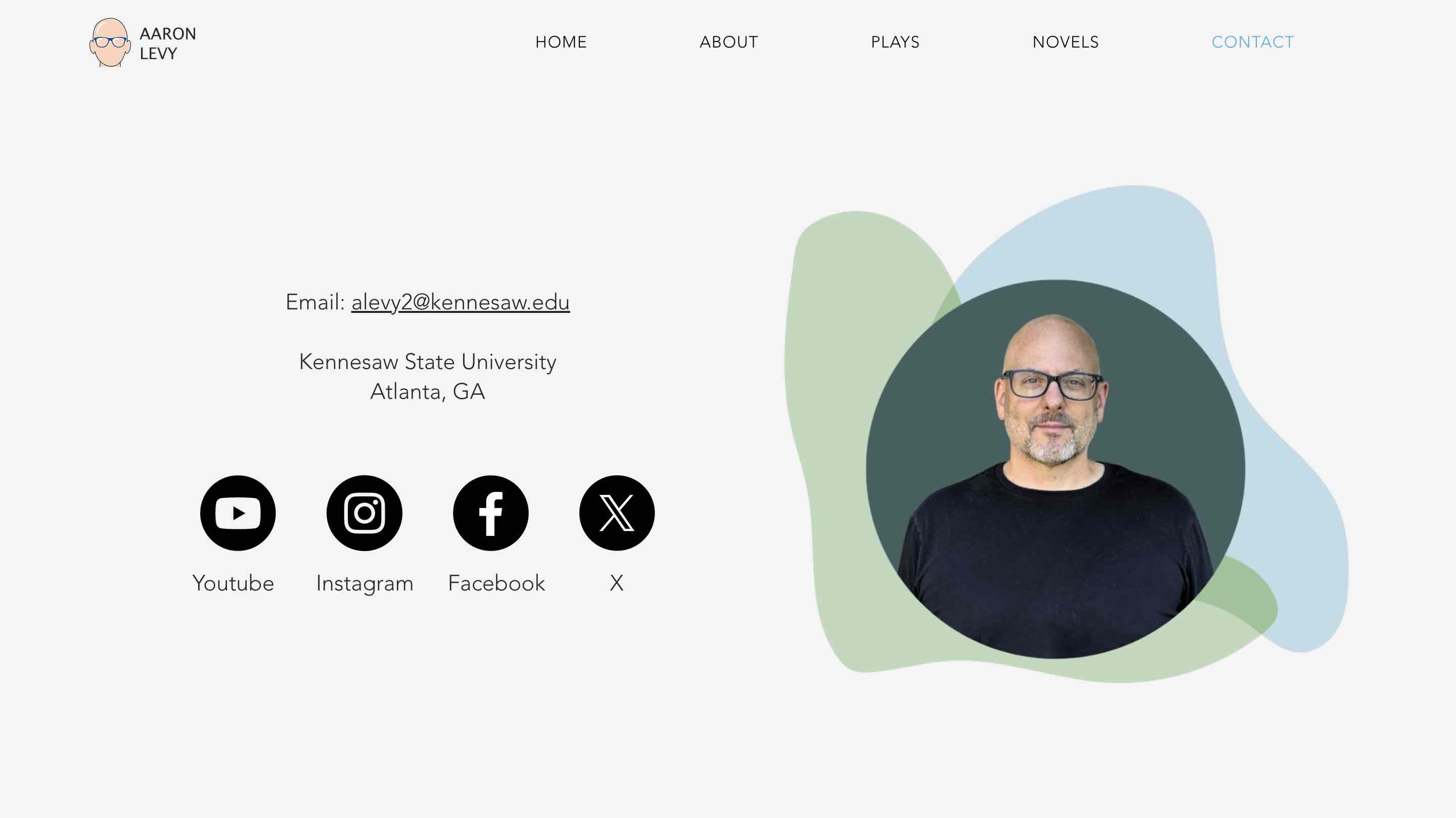 Aaron Levy Website